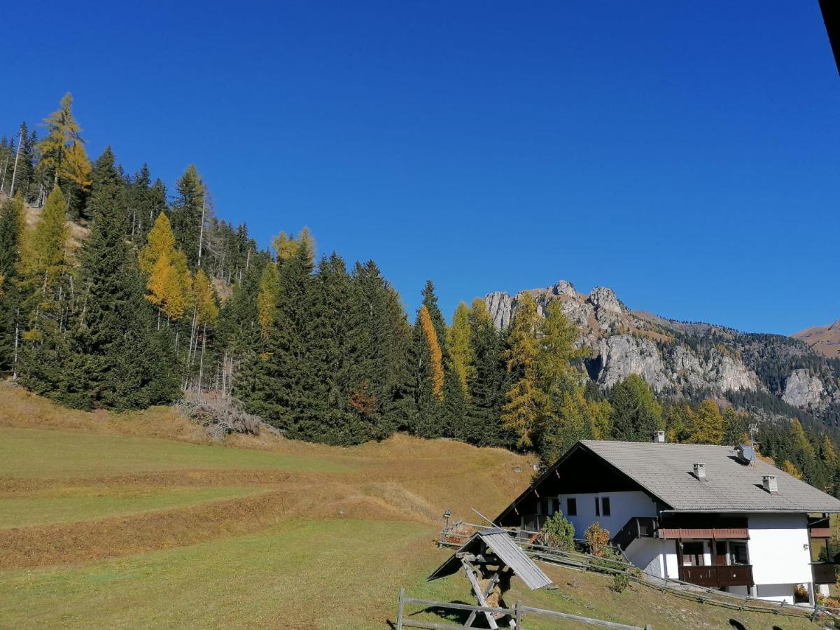 Chalet Relax ポッツァ・ディ・ファッサ エクステリア 写真