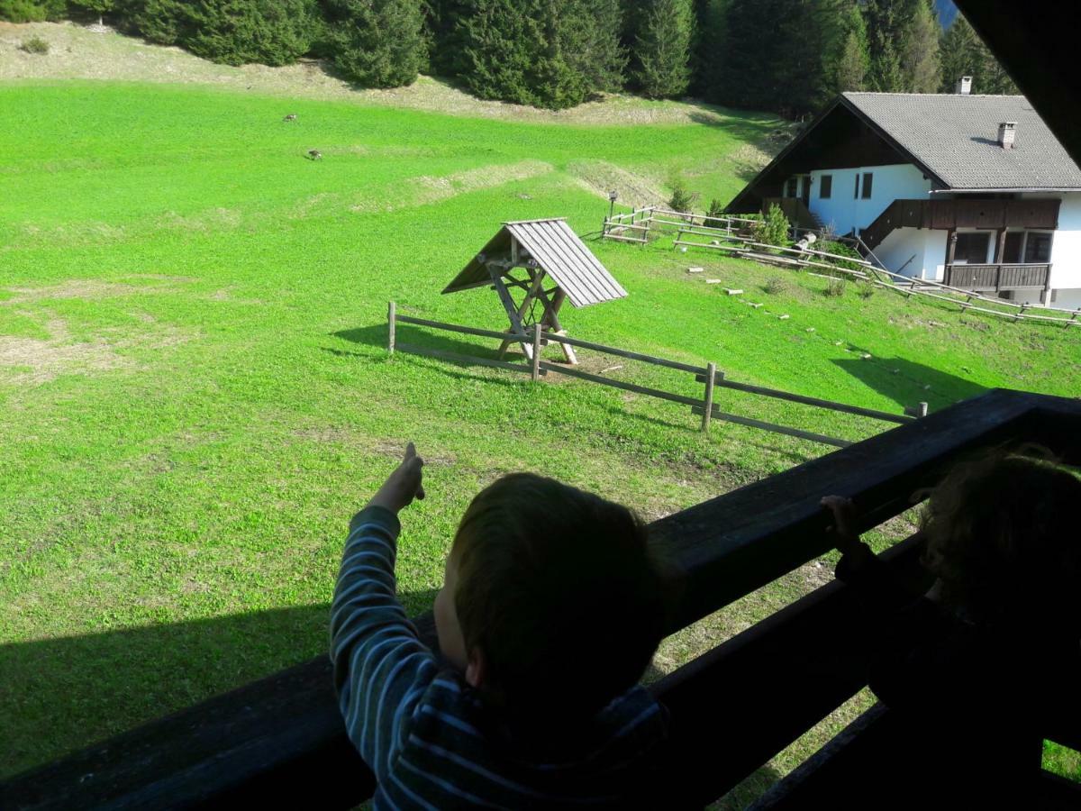 Chalet Relax ポッツァ・ディ・ファッサ エクステリア 写真